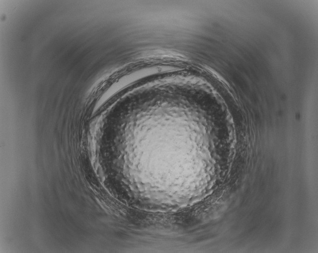 X0000067400775200604031057