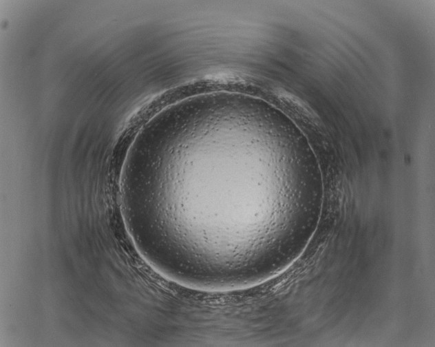 X0000067400776200604031057