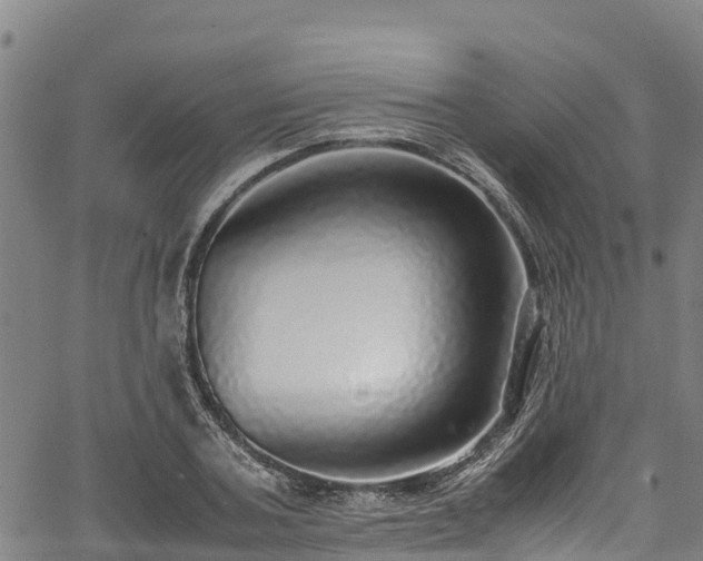 X0000067400787200604031056