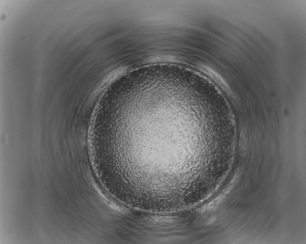 X0000067400849200604031056