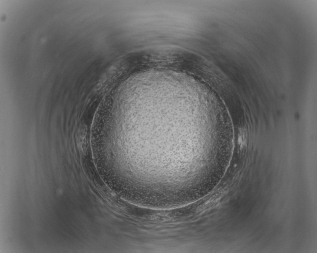 X0000067400867200604031055