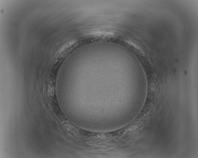 X0000067400869200604031055