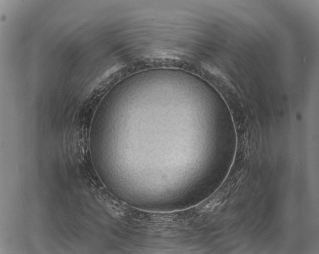 X0000067400870200604031055