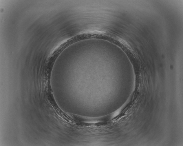 X0000067400872200604031055