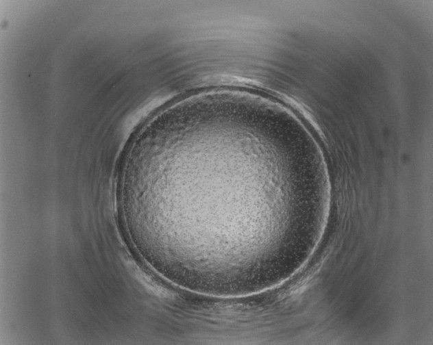 X0000067400987200604031053