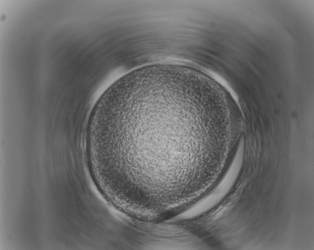 X0000067401007200604031053