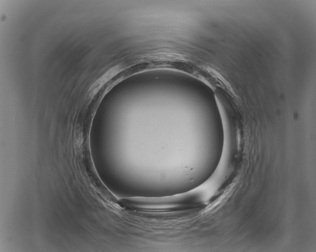 X0000067401065200604031052