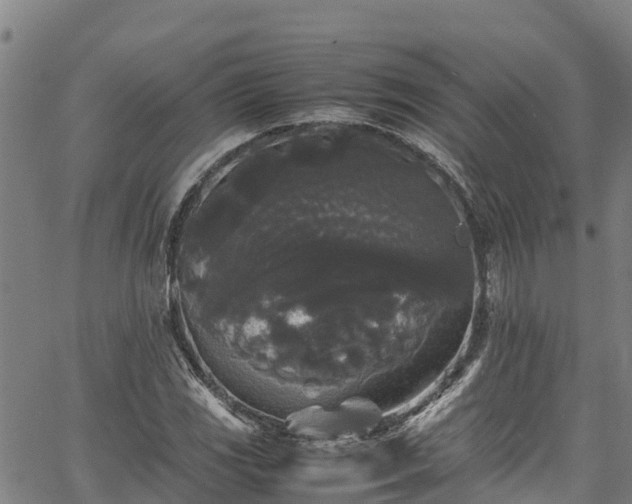 X0000067401117200604031051