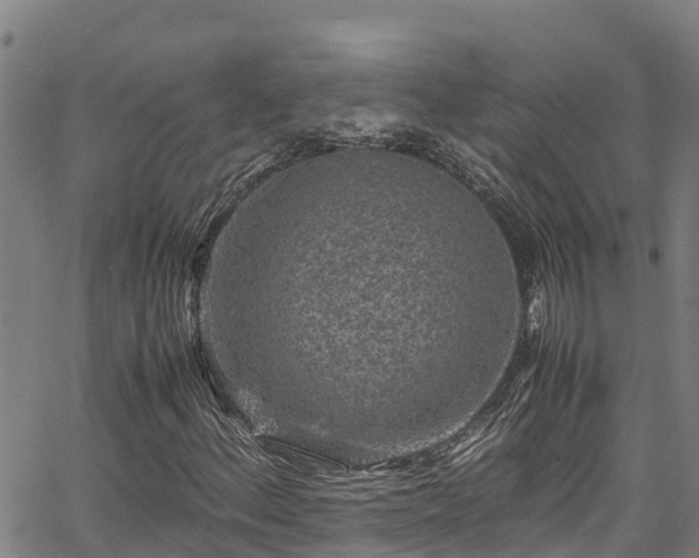 X0000067401156200604031050