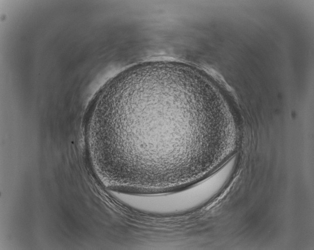 X0000067401167200604031050