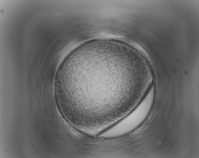 X0000067401183200604031050