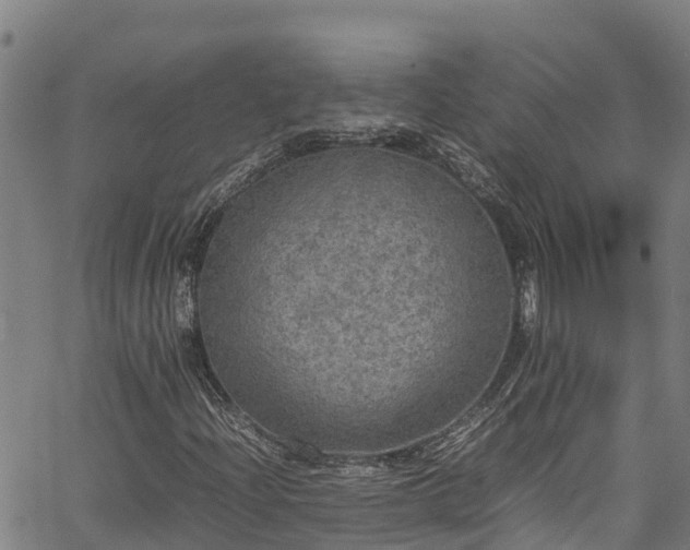X0000067401204200604031049