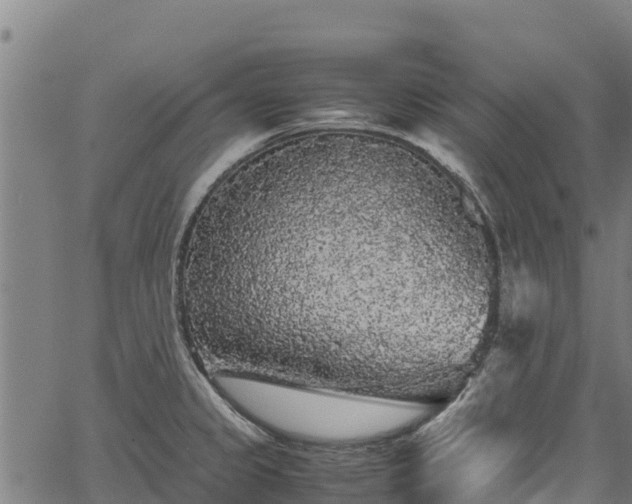 X0000067401333200604031048