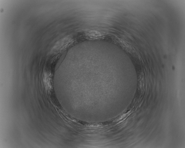 X0000067401346200604031047