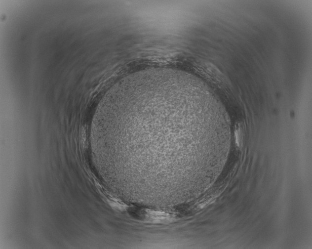 X0000067401347200604031047