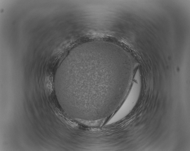 X0000067401348200604031047