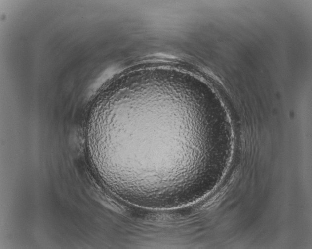 X0000067401355200604031047