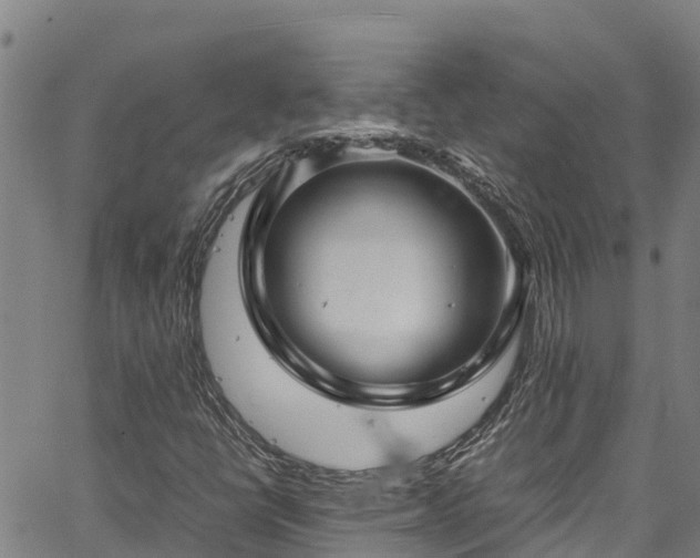 X0000067401398200604031046
