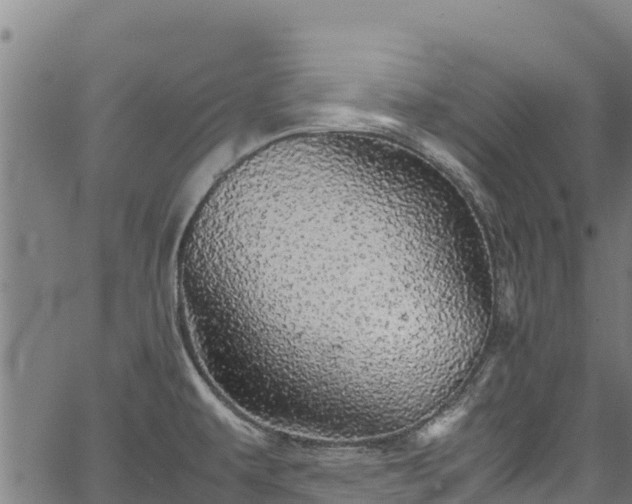 X0000067401479200604031045
