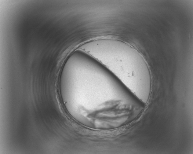 X0000067400001200604071832