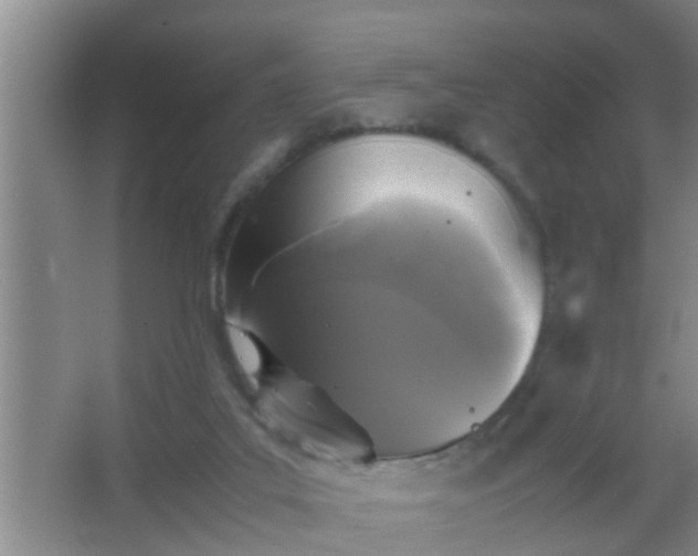 X0000067400019200604071832