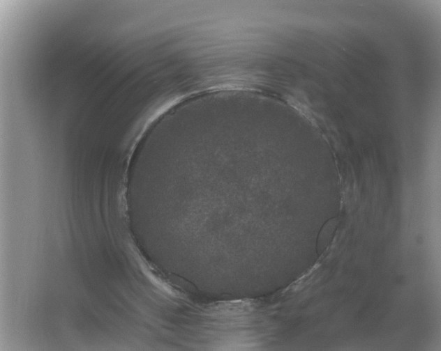 X0000067400050200604071831