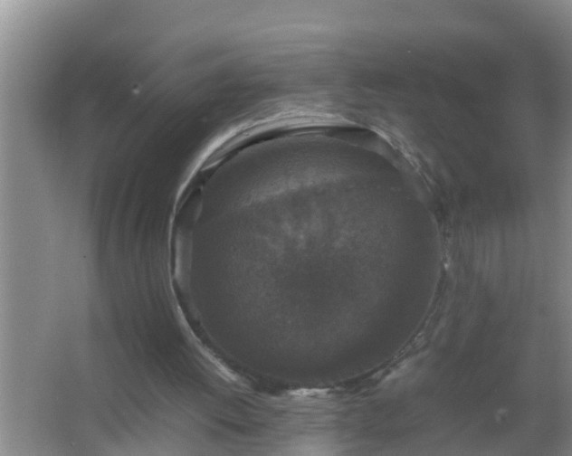 X0000067400052200604071831