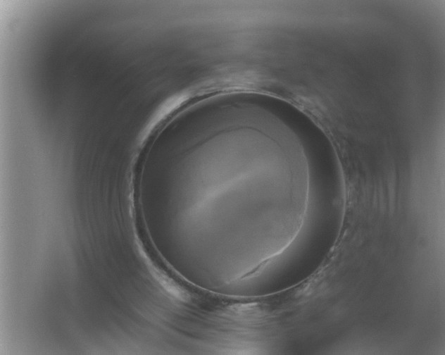 X0000067400054200604071831
