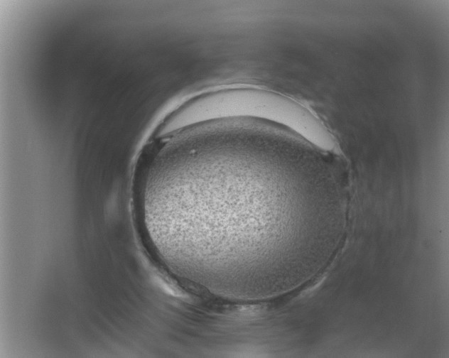 X0000067400056200604071831