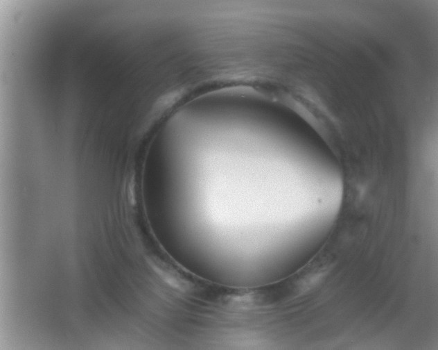 X0000067400068200604071831