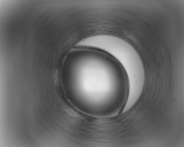 X0000067400077200604071831