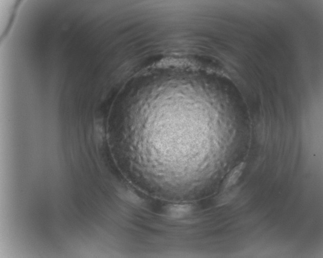 X0000067400085200604071831