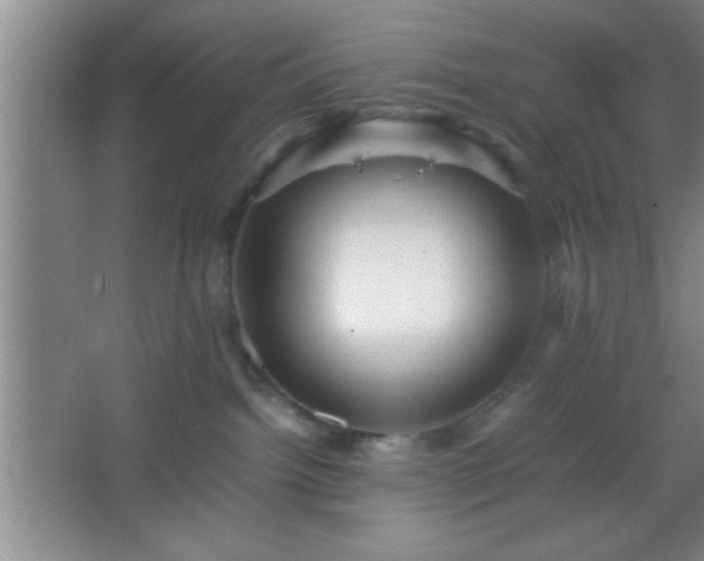 X0000067400092200604071831