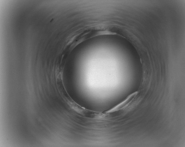 X0000067400096200604071831