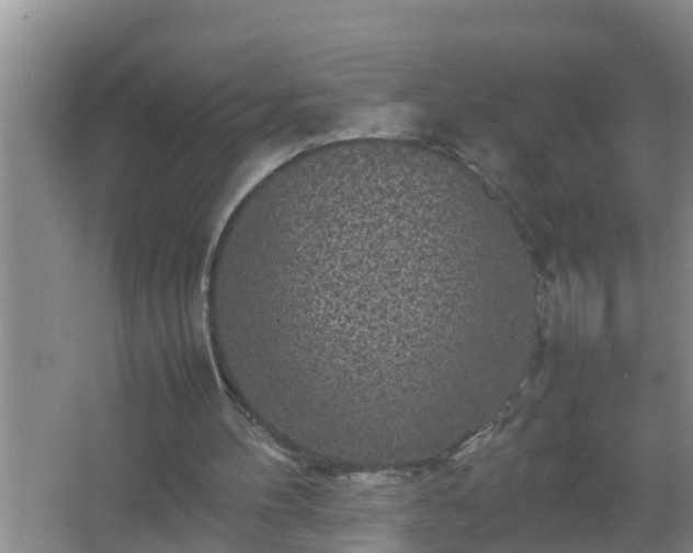 X0000067400100200604071831