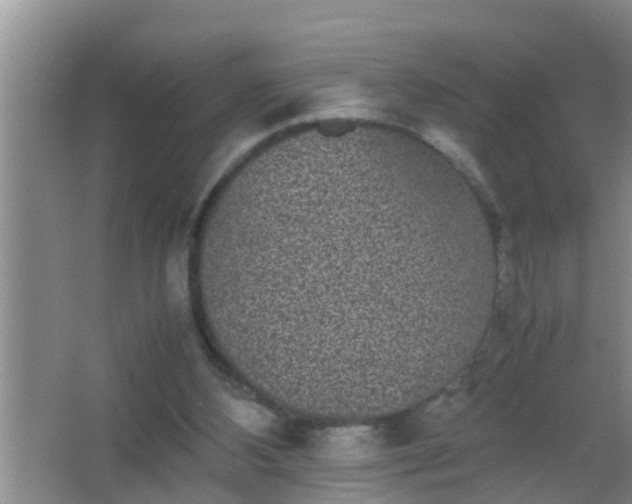 X0000067400108200604071830