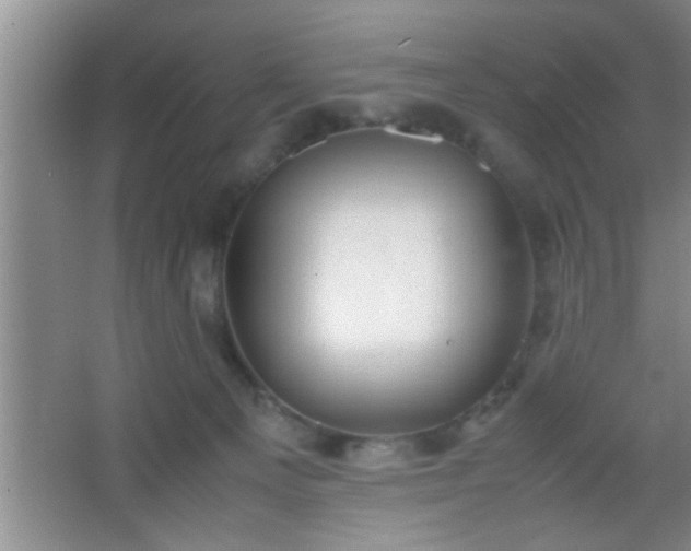 X0000067400129200604071830
