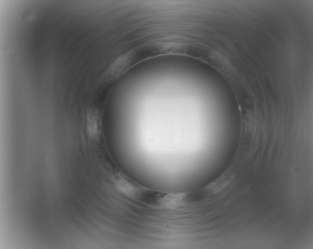X0000067400138200604071830