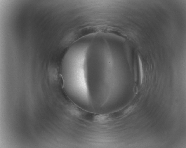 X0000067400139200604071830