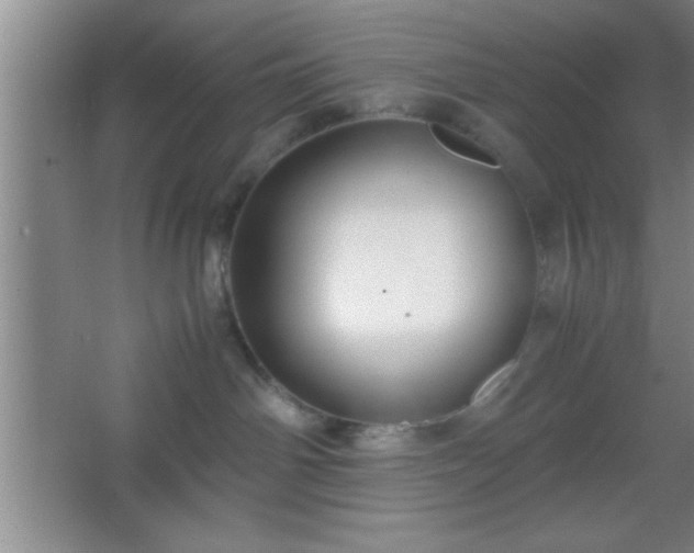 X0000067400142200604071830
