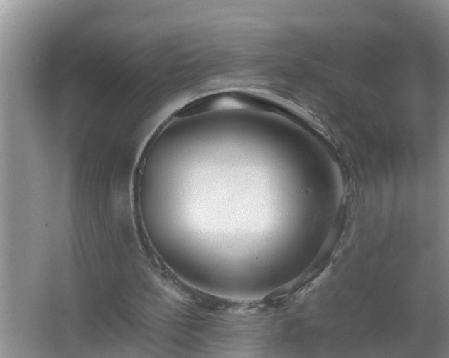 X0000067400148200604071829