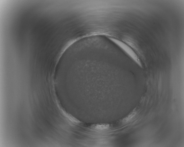 X0000067400156200604071829