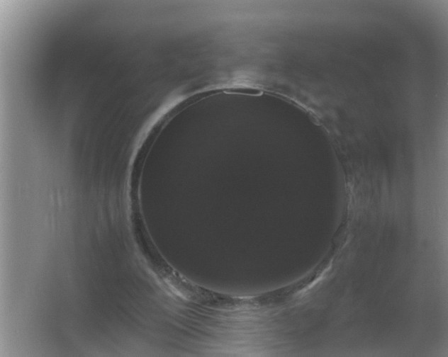 X0000067400200200604071829