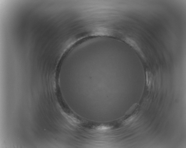 X0000067400204200604071829