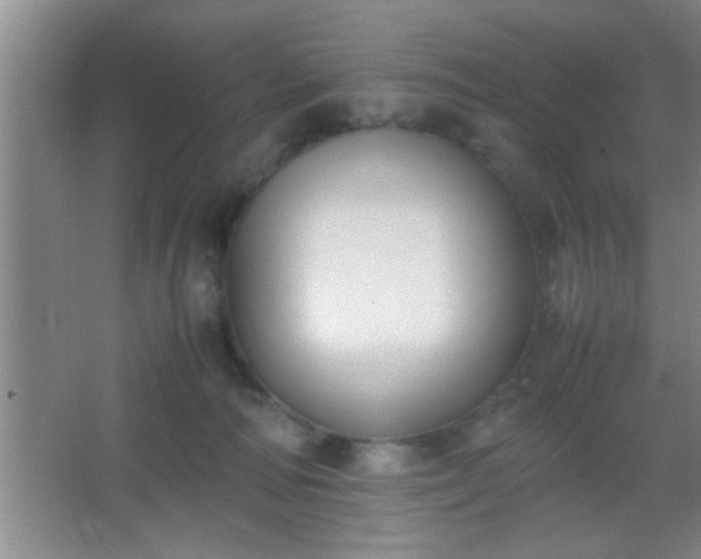 X0000067400226200604071828