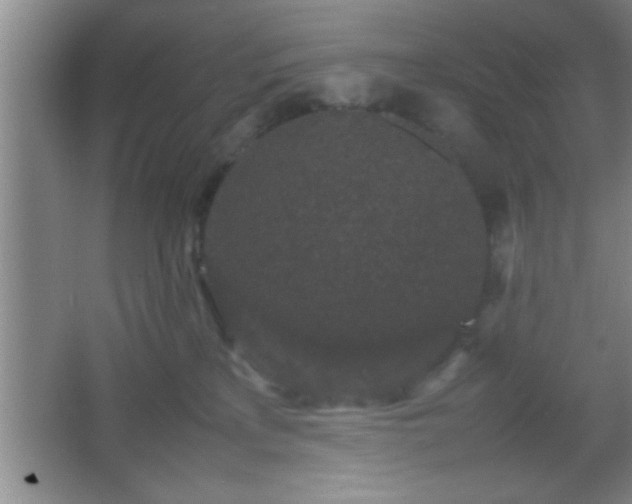 X0000067400233200604071828