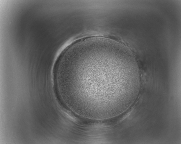 X0000067400246200604071827