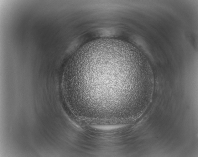X0000067400257200604071828