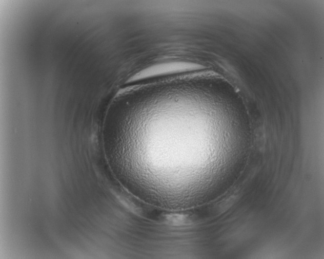 X0000067400265200604071828