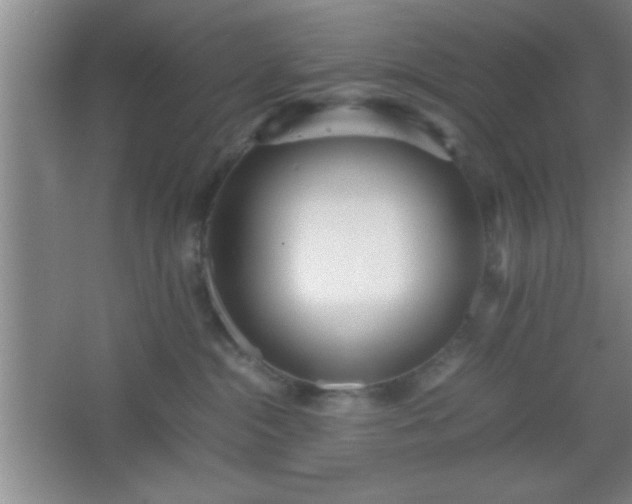 X0000067400284200604071828